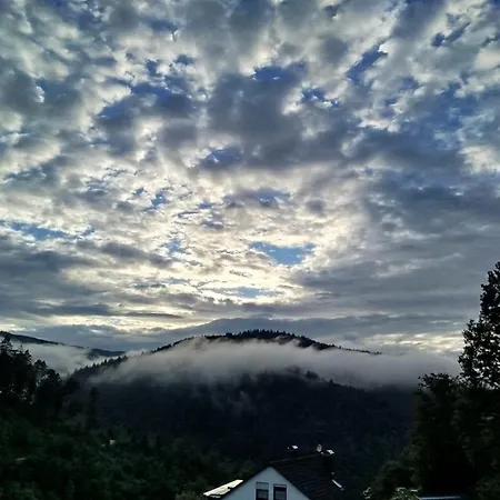 Gaby Lehmann Apartamento